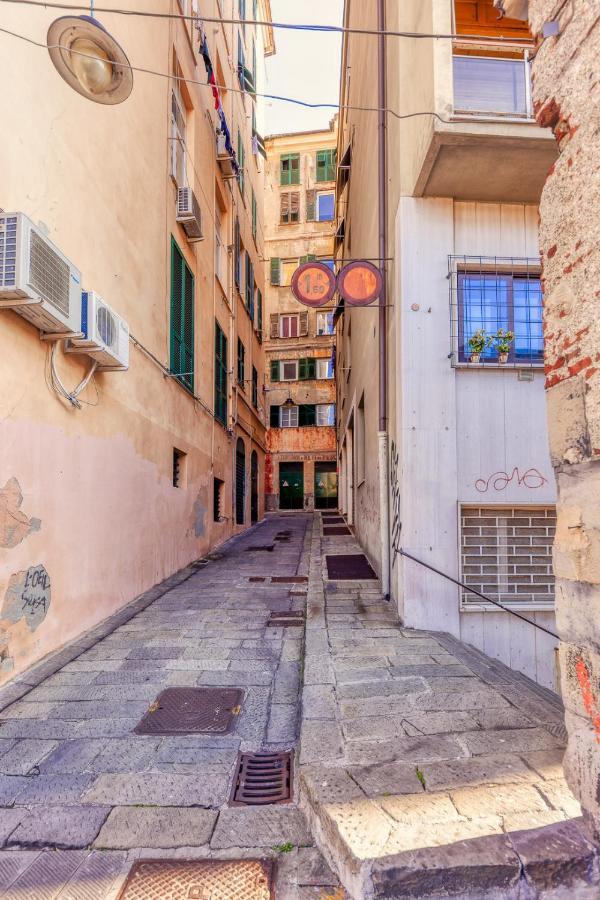 Apartmán Casa Camelie Janov Exteriér fotografie